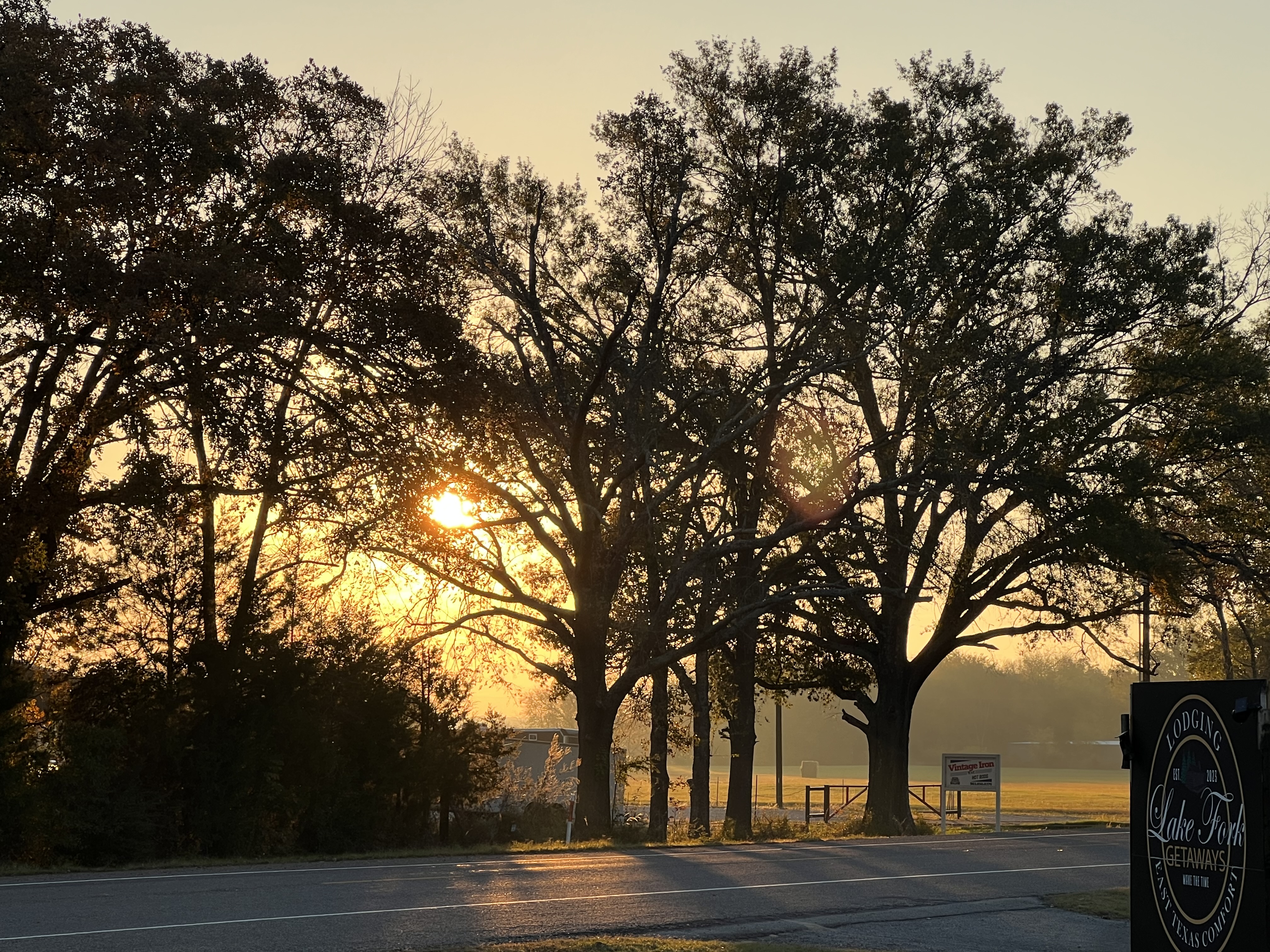 Frontyard Sunrise